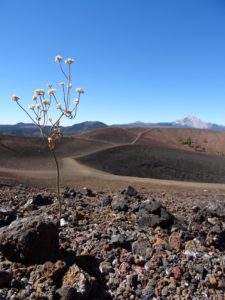 cinder-cone-38a